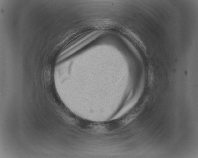 X0000081390113200702020305