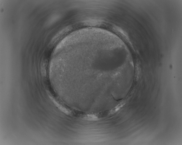 X0000081390114200702020305