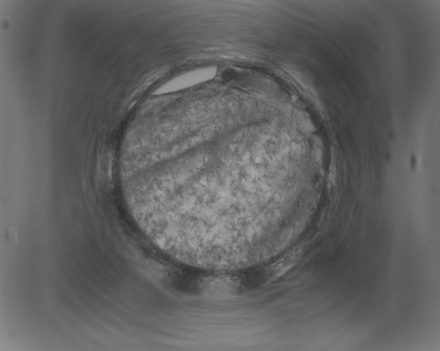 X0000081390115200702020305