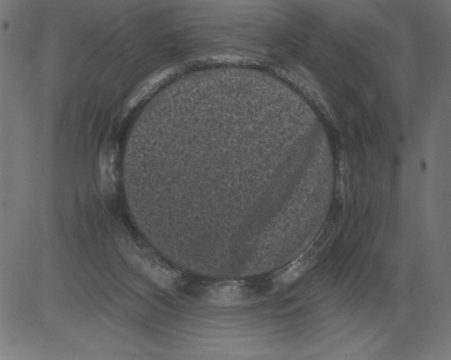 X0000081390116200702020305