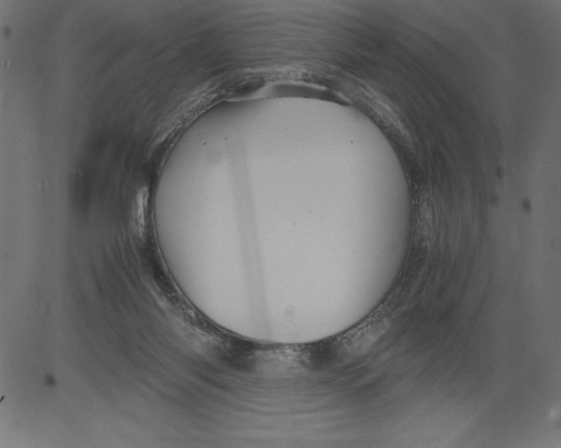 X0000081390118200702020305