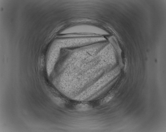 X0000081390119200702020305