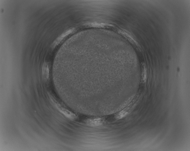 X0000081390120200702020305