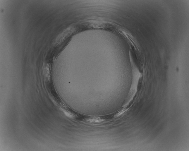 X0000081390121200702020305