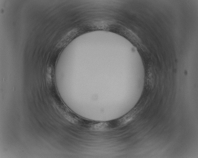 X0000081390122200702020305