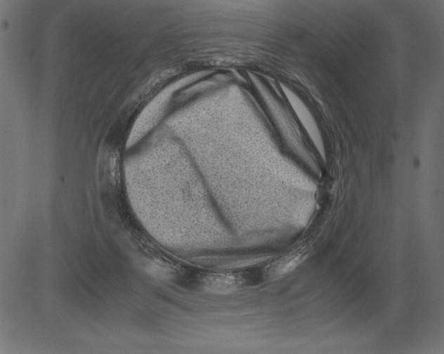 X0000081390123200702020305