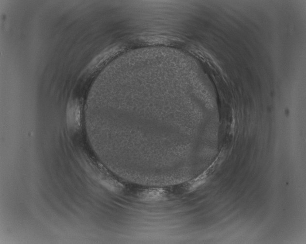 X0000081390124200702020305