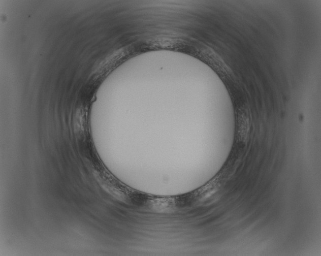 X0000081390126200702020305