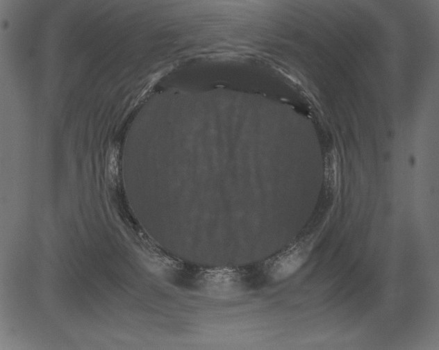 X0000081390127200702020305