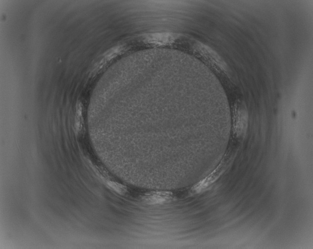 X0000081390128200702020305