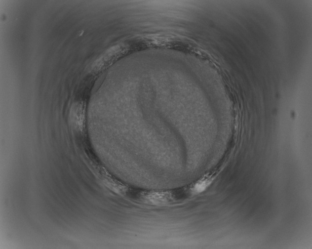 X0000081390129200702020305