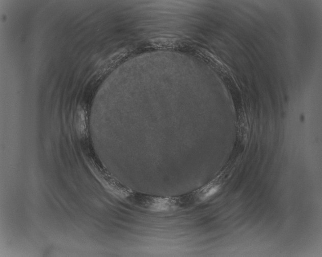 X0000081390130200702020305