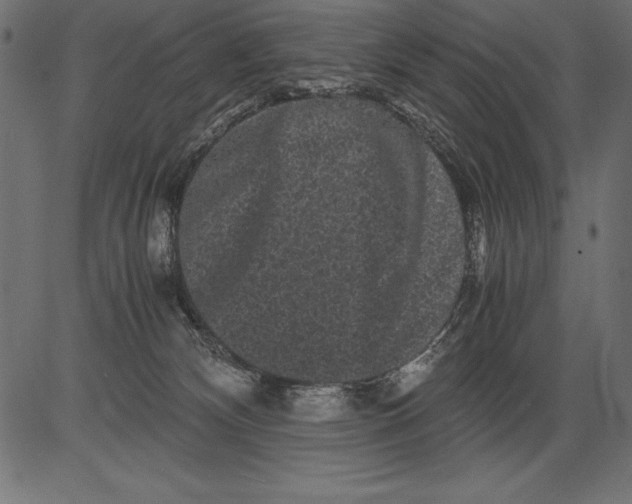 X0000081390132200702020305