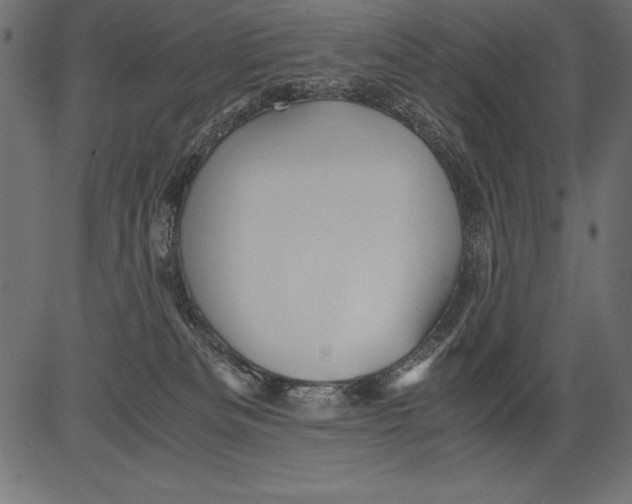 X0000081390133200702020305