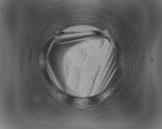 X0000081390135200702020305