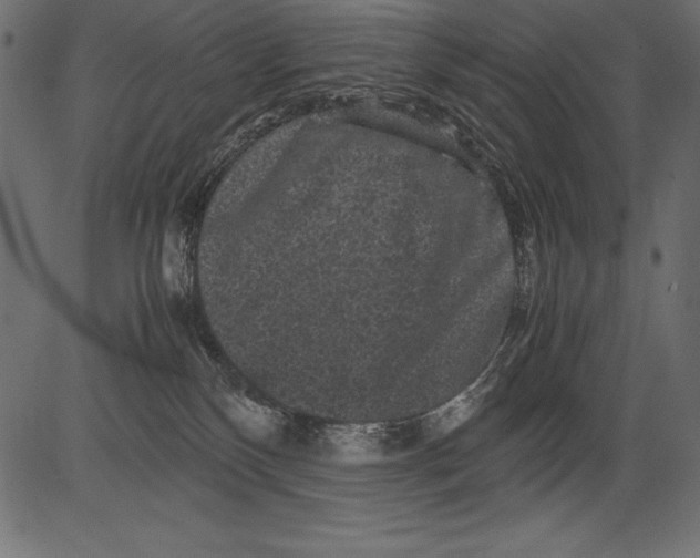 X0000081390136200702020305