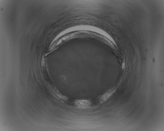 X0000081390137200702020305