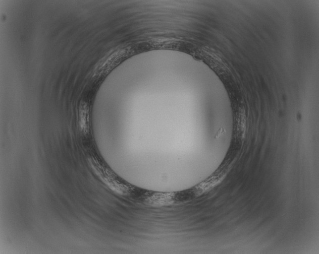 X0000081390138200702020305