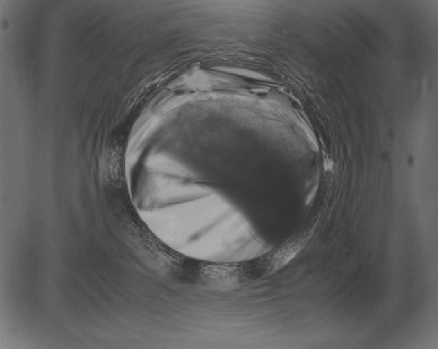 X0000081390139200702020305