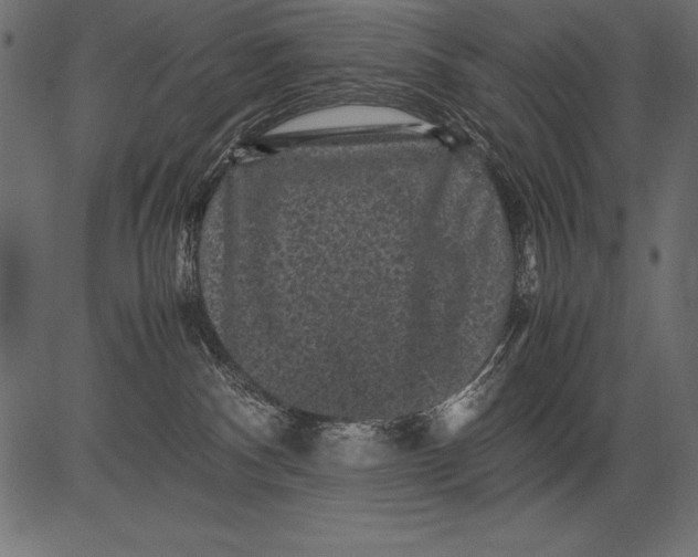 X0000081390140200702020305