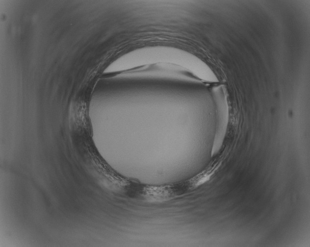 X0000081390141200702020305