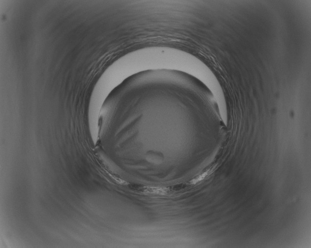 X0000081390143200702020305