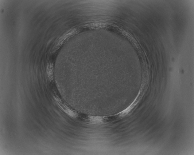 X0000081390144200702020305