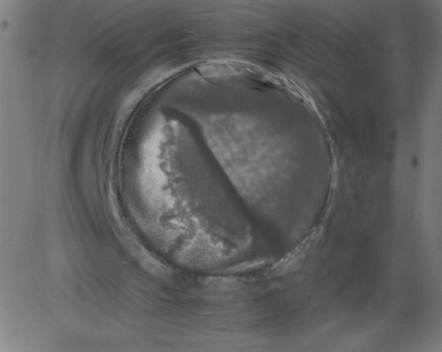 X0000081390145200702020304