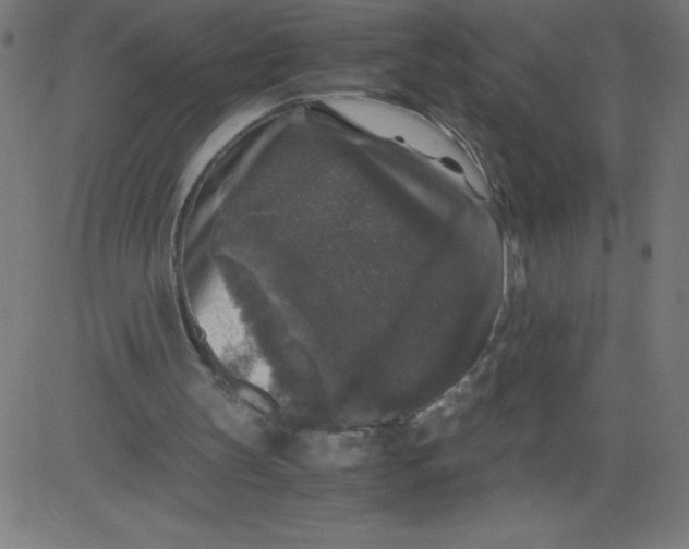 X0000081390147200702020304