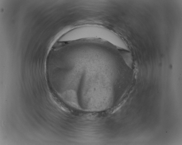 X0000081390148200702020304