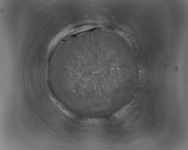 X0000081390149200702020304