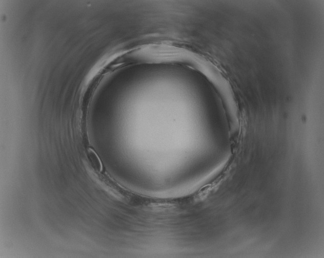 X0000081390150200702020304