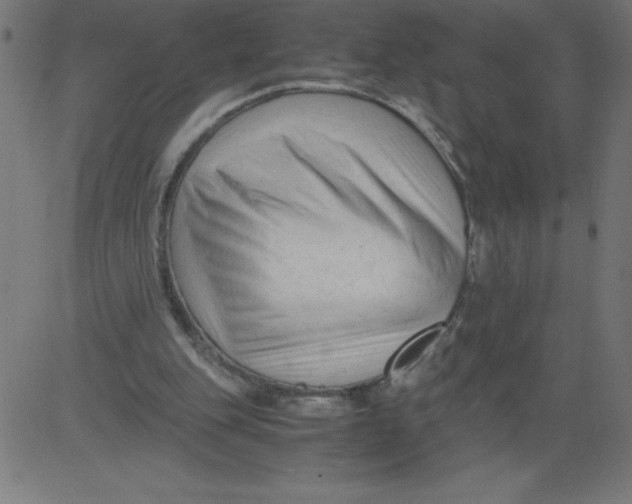 X0000081390151200702020304