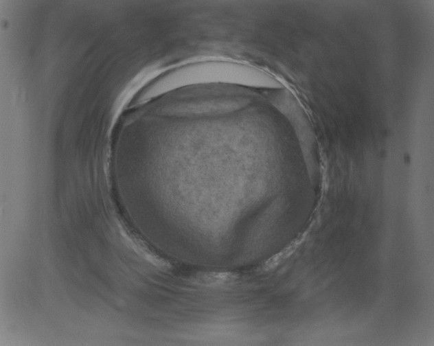 X0000081390152200702020304