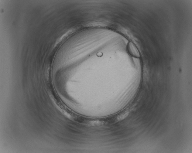 X0000081390153200702020304