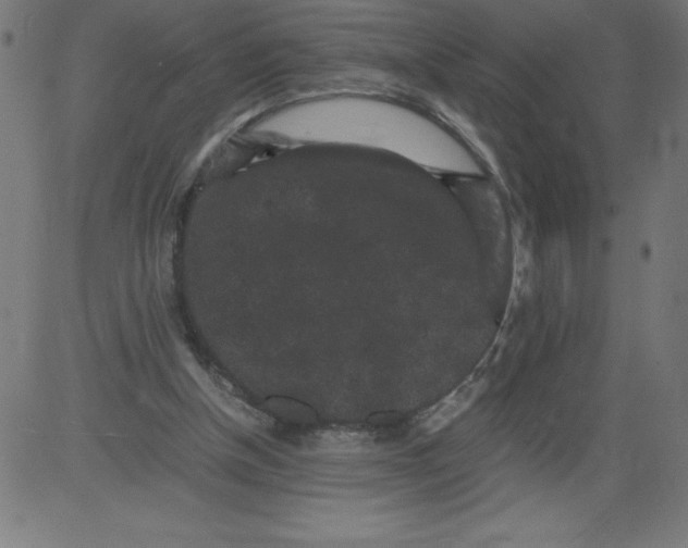 X0000081390154200702020304