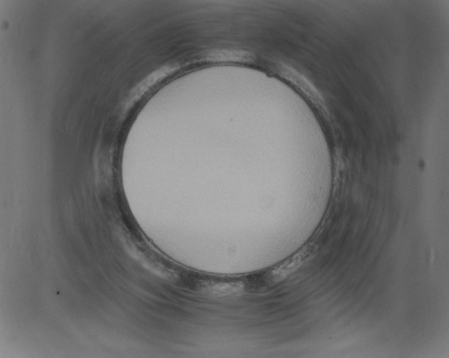 X0000081390155200702020304