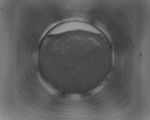 X0000081390156200702020304