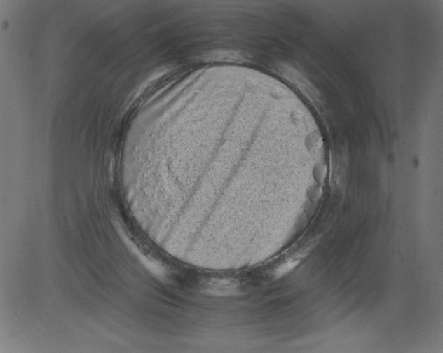 X0000081390157200702020304