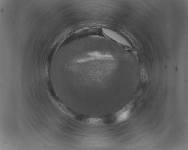 X0000081390158200702020304