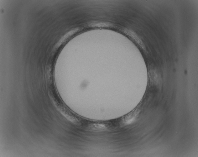 X0000081390159200702020304