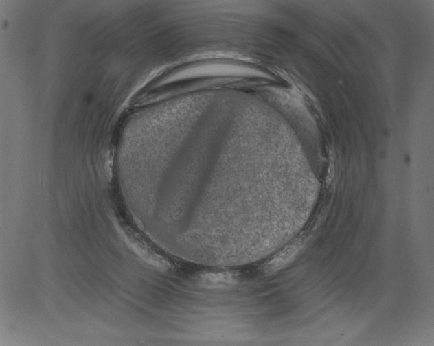 X0000081390160200702020304