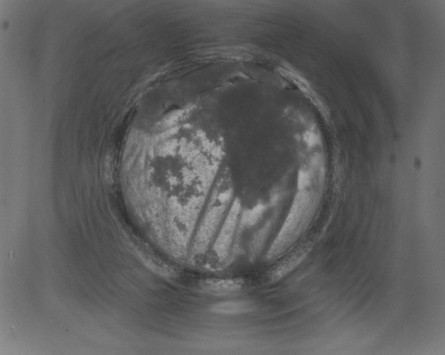 X0000081390161200702020304