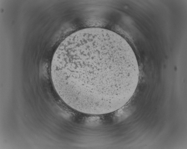 X0000081390162200702020304