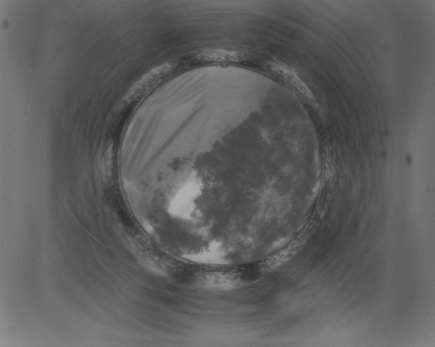 X0000081390163200702020304