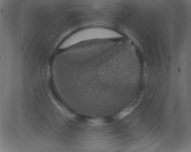 X0000081390164200702020304