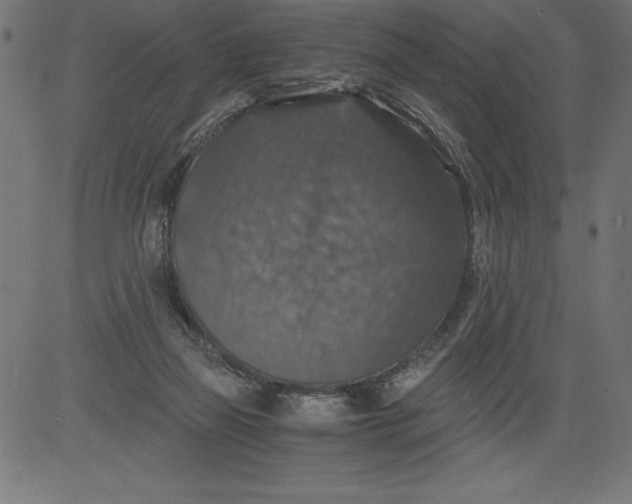 X0000081390165200702020304