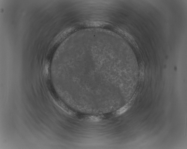 X0000081390166200702020304