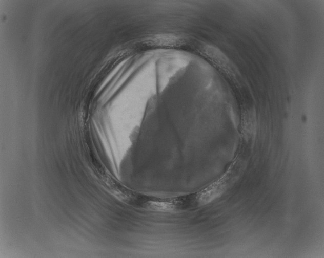 X0000081390167200702020304