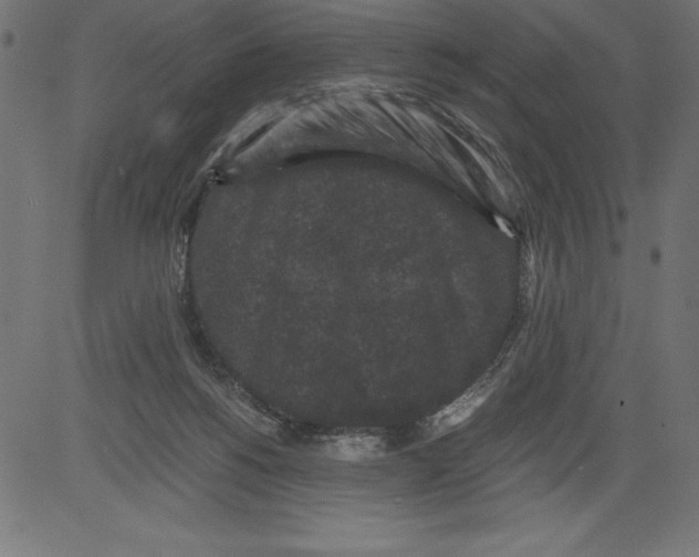 X0000081390168200702020304